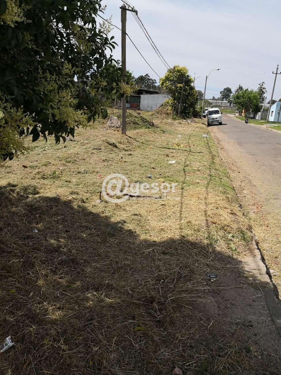Image3